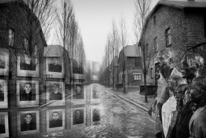 16772_Fotograf_Henrik S  Nielsen_Auschwitz-Will we ever learn_